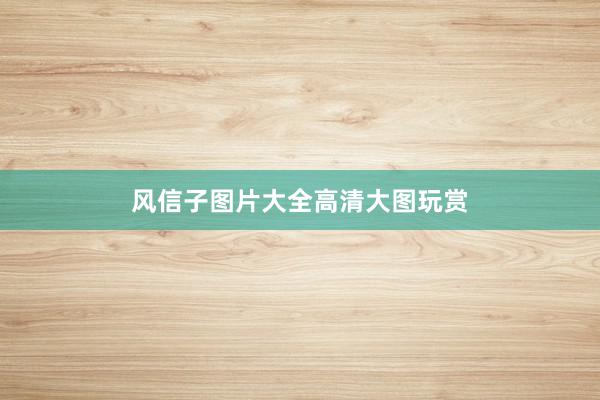 风信子图片大全高清大图玩赏